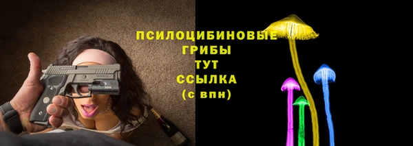 индика Иннополис