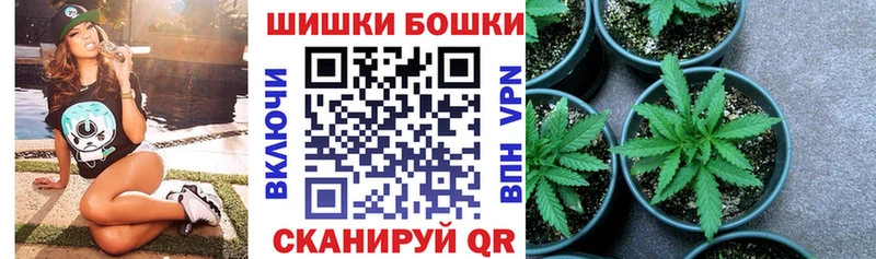 Марихуана SATIVA & INDICA  купить наркоту  Алейск 
